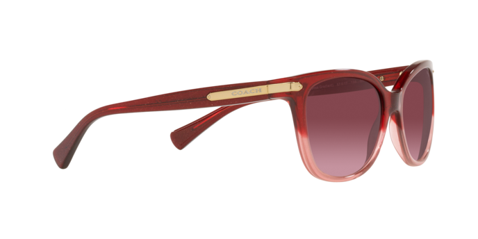 Coach HC8132 55518H L109 